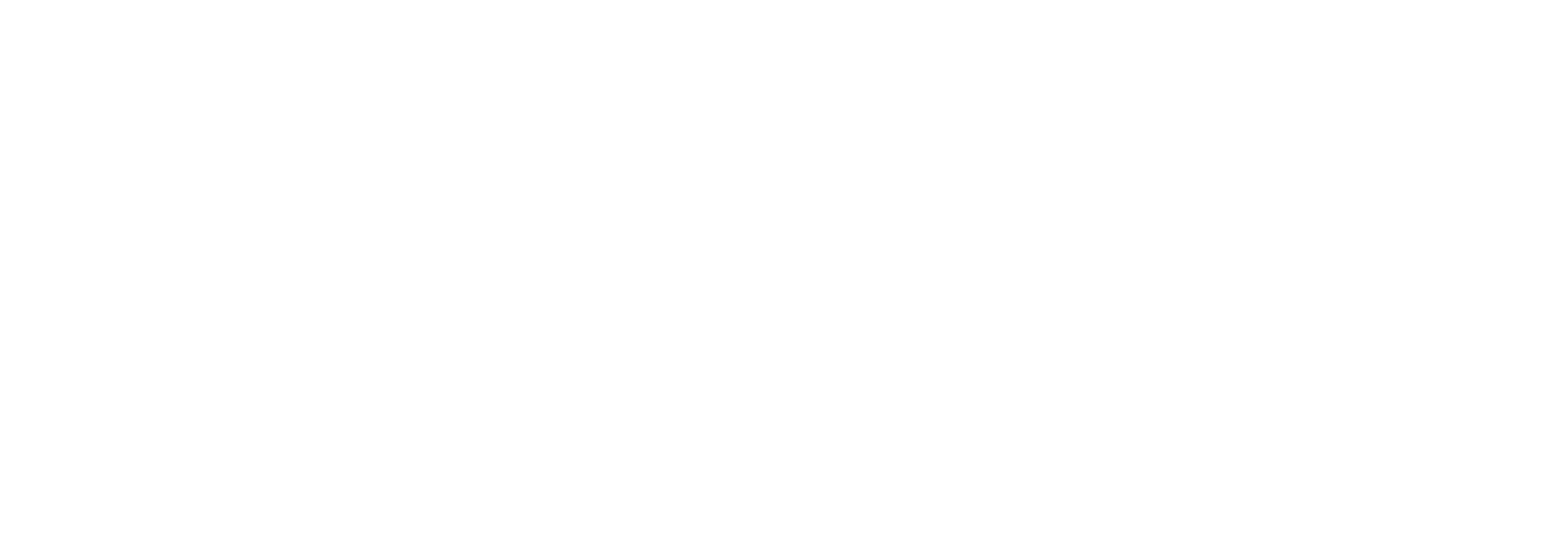 Logo_LogoHorizontal-Branco-Karson